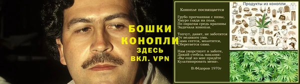 ECSTASY Дмитровск