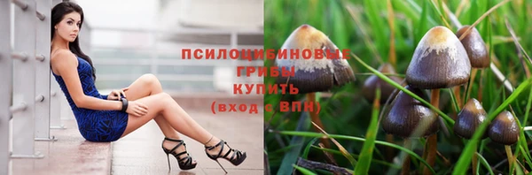 ECSTASY Дмитровск