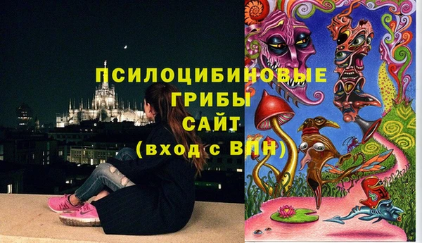 ECSTASY Дмитровск