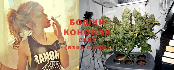 ECSTASY Дмитровск