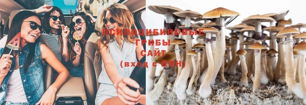 герыч Дмитров