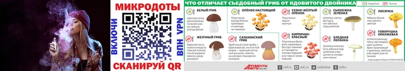 Купить где Никольск Галлюциногенные грибы ЛСД